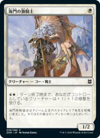 card295473-series173667-rarity323480