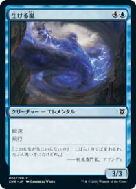 card295502-series173667-rarity323480