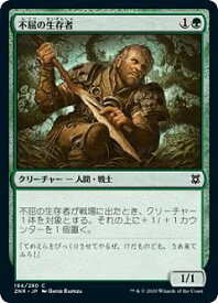 card295621-series173667-rarity323480