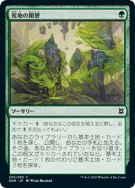 card295637-series173667-rarity323480