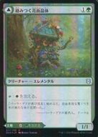 card295648-series173667-rarity323478