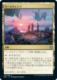 card295694-series173667-rarity323478
