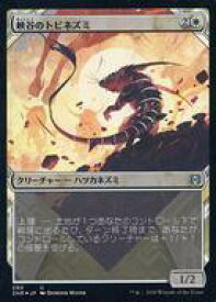 card295444-series173667-rarity323478