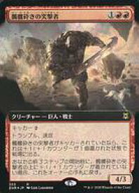 card295596-series173667-rarity323476