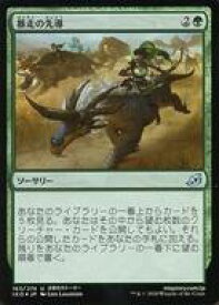 card295984-series174051-rarity323478