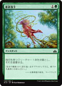 card294084-series176029-rarity323480