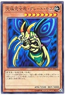 card13253-series11281-rarity1