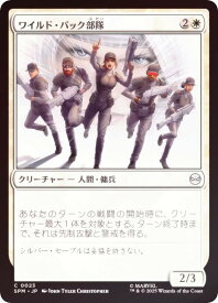card322594-series200846-rarity323480