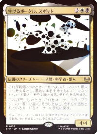 card322724-series200846-rarity323476