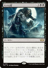 card311871-series202544-rarity323476