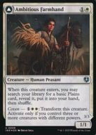 card_293893_