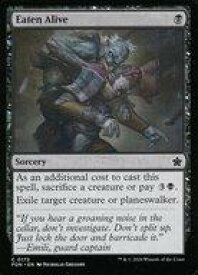 card293990-series203630-rarity323480