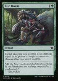 card292246-series203630-rarity323480