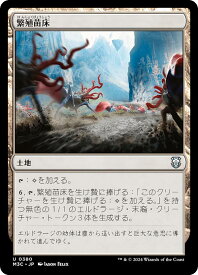 card_300191_