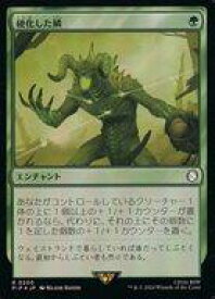 card_300799_series_207488_rarity_323476_