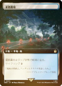 card298747-series208771-rarity323476