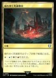 card304612-series209532-rarity323478