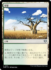 card312740-series179932-rarity323478