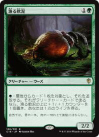 card314458-series222473-rarity323476
