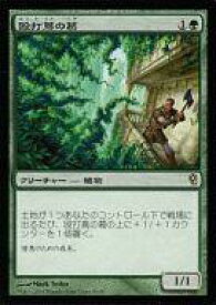 card306872-series228655-rarity323476