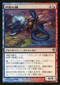 card_304751_series_301669_rarity_323478_