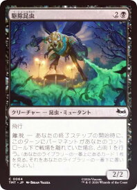 card4395485-series4375062-rarity323480
