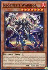card502869-series373629-rarity540534