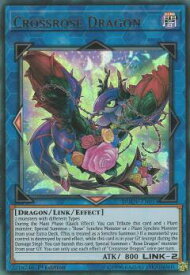 card501920-series377753-rarity540536