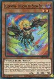 card501936-series377276-rarity540535