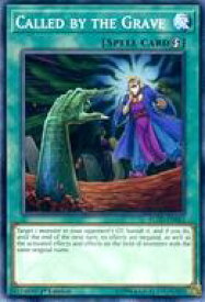 card502118-series378504-rarity540534