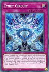 card512606-series377295-rarity540534