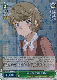 card527830-series398852-rarity557104