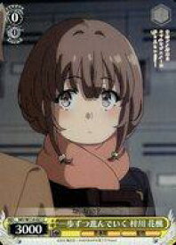 card527842-series398852-rarity557243