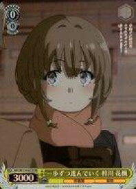 card527842-series398852-rarity557104