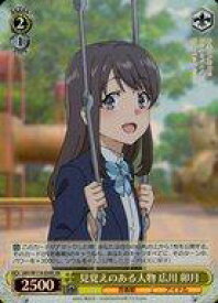 card527848-series398852-rarity557104