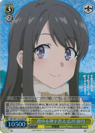 card527886-series398852-rarity557104