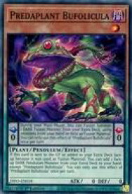 card535660-series377568-rarity540534