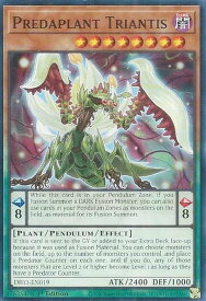 card535663-series377568-rarity540534
