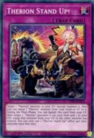 card536994-series377568-rarity540534