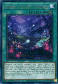 card538030-series409275-rarity540551
