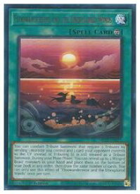 card542955-series373168-rarity540551