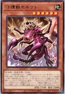 card20819-series58777-rarity62