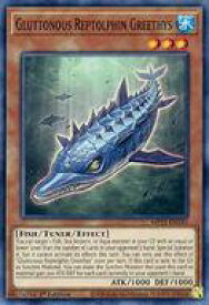 card567737-series377251-rarity540534