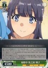card568199-series440388-rarity557243