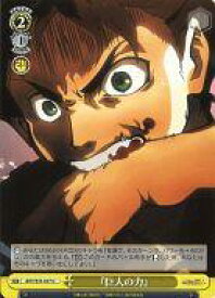 card582036-series454643-rarity557246