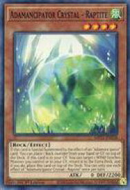 card585079-series377251-rarity540534