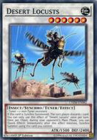 card597693-series470263-rarity540534