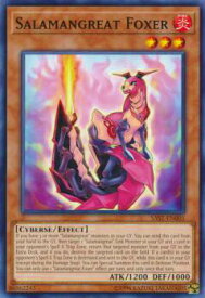 card600241-series473350-rarity540534