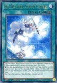card600968-series377527-rarity540548