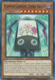 card603289-series377948-rarity540534